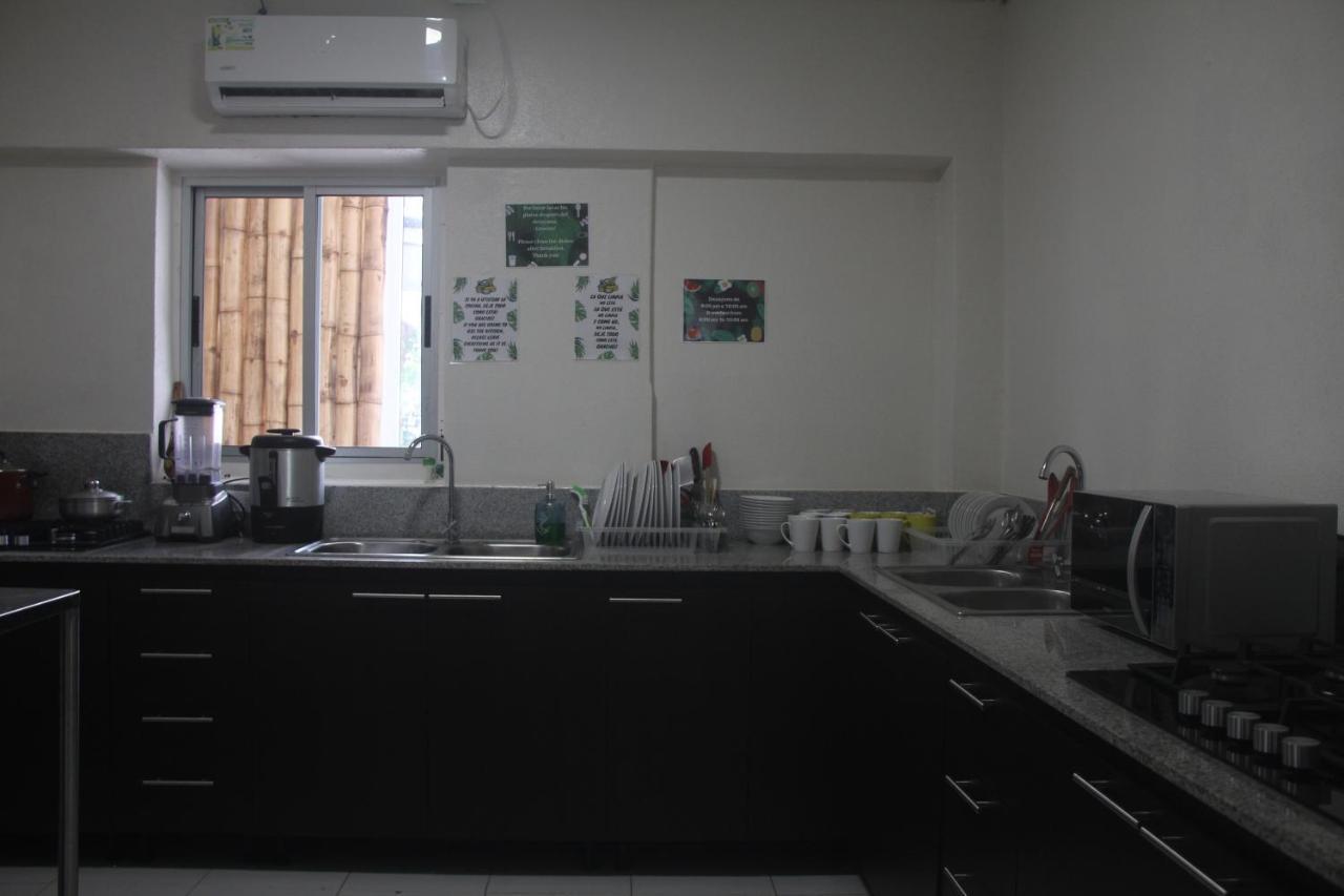Eden'S Garden Hostel Panama City Ngoại thất bức ảnh