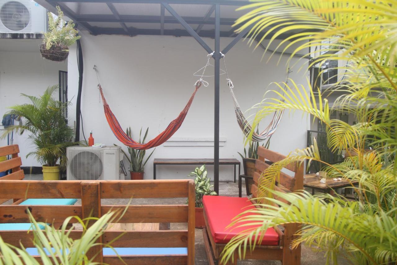 Eden'S Garden Hostel Panama City Ngoại thất bức ảnh