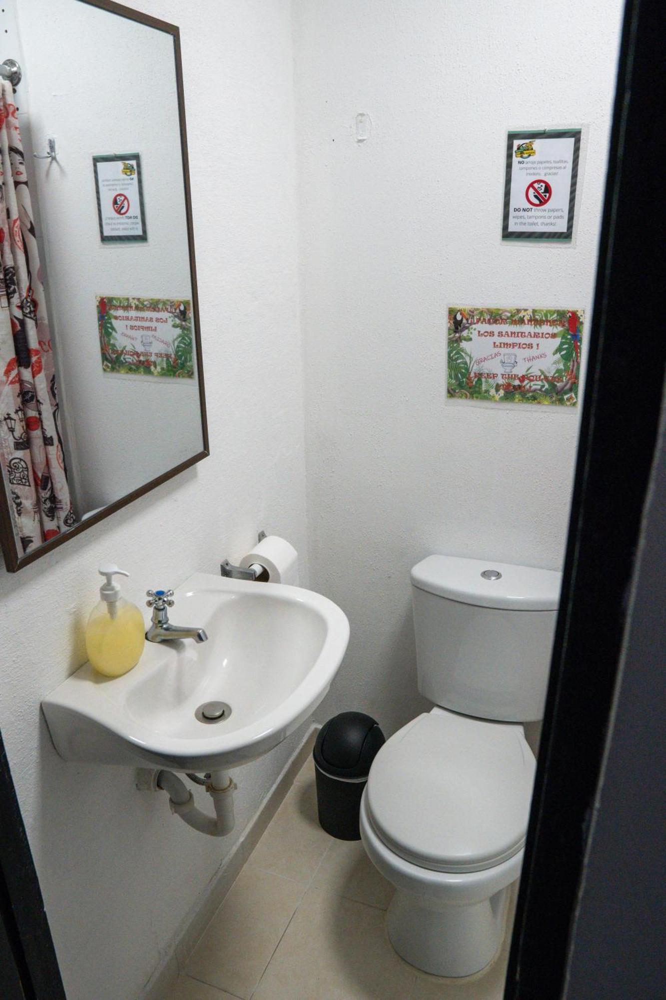 Eden'S Garden Hostel Panama City Ngoại thất bức ảnh